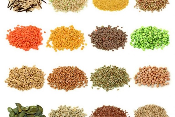 Có được mang hạt giống sang Đức không