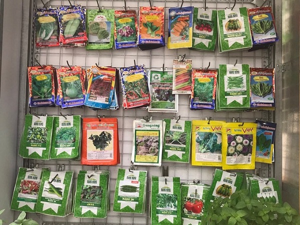 hạt giống mang sang đức 