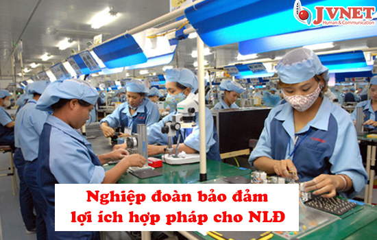 Vai trò của nghiệp đoàn đối thực tập sinh Nhật Bản-5