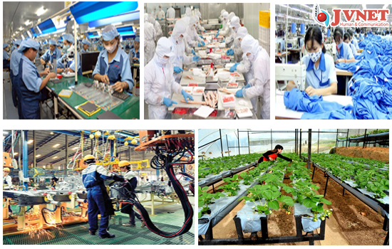 Xuất khẩu lao động Nhật Bản 2019-3