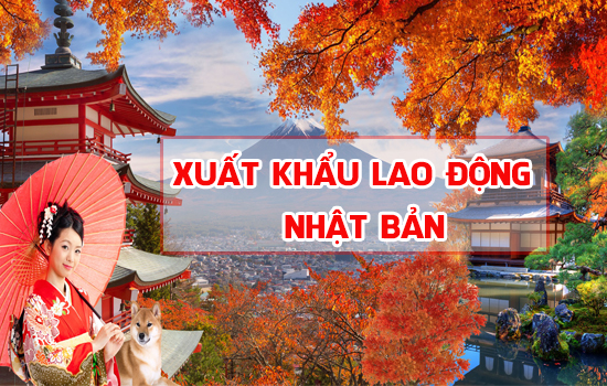 Xuất khẩu lao động nước nào lương cao-4
